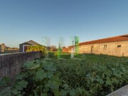 Terreno R�stico - Cov�es, Cantanhede, Coimbra - Miniatura: 5/9