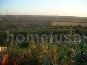 Terreno R�stico - Vila Verde, Figueira da Foz, Coimbra - Miniatura: 1/4