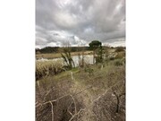 Moradia T3 - Oi, Oliveira do Bairro, Aveiro - Miniatura: 5/5