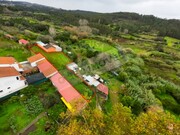 Terreno R�stico - Souselas, Coimbra, Coimbra - Miniatura: 6/6