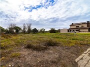 Terreno Rústico - Lavos, Figueira da Foz, Coimbra - Miniatura: 4/9