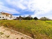 Terreno Rústico - Lavos, Figueira da Foz, Coimbra - Miniatura: 7/9