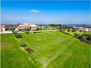 Terreno R�stico - Montemor-o-Velho, Montemor-o-Velho, Coimbra - Miniatura: 4/8