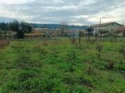 Terreno R�stico - Santar, Nelas, Viseu - Miniatura: 5/9