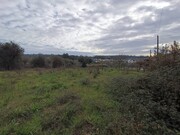 Terreno R�stico - Santar, Nelas, Viseu - Miniatura: 9/9