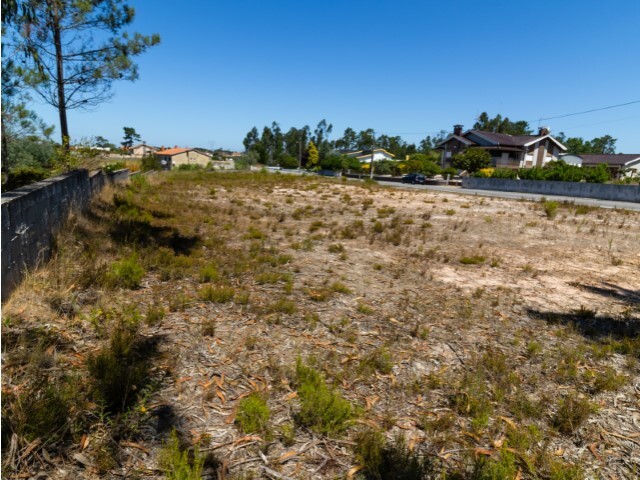 Terreno Urbano - Cov�es, Cantanhede, Coimbra - Imagem grande