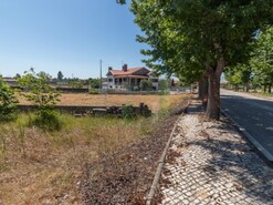 Terreno Rstico - Mira, Mira, Coimbra