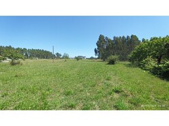 Terreno Rstico - Marinha das Ondas, Figueira da Foz, Coimbra