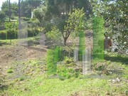 Terreno R�stico - Buarcos, Figueira da Foz, Coimbra - Miniatura: 7/9