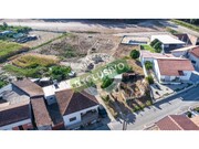 Terreno R�stico - Ferreira-a-Nova, Figueira da Foz, Coimbra - Miniatura: 3/9
