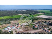 Terreno R�stico - Ferreira-a-Nova, Figueira da Foz, Coimbra - Miniatura: 8/9