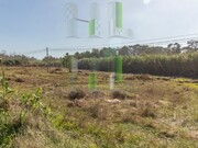 Terreno R�stico - Lavos, Figueira da Foz, Coimbra - Miniatura: 1/2