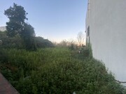Terreno R�stico - Granja do Ulmeiro, Soure, Coimbra - Miniatura: 3/7