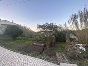 Terreno R�stico - Granja do Ulmeiro, Soure, Coimbra - Miniatura: 4/7