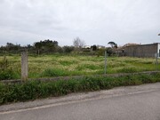 Terreno R�stico - Carapinheira, Montemor-o-Velho, Coimbra - Miniatura: 3/9