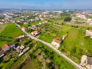 Terreno R�stico - Carapinheira, Montemor-o-Velho, Coimbra - Miniatura: 7/9