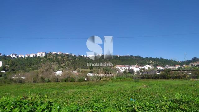 Terreno Rústico - Pelariga, Pombal, Leiria - Imagem grande