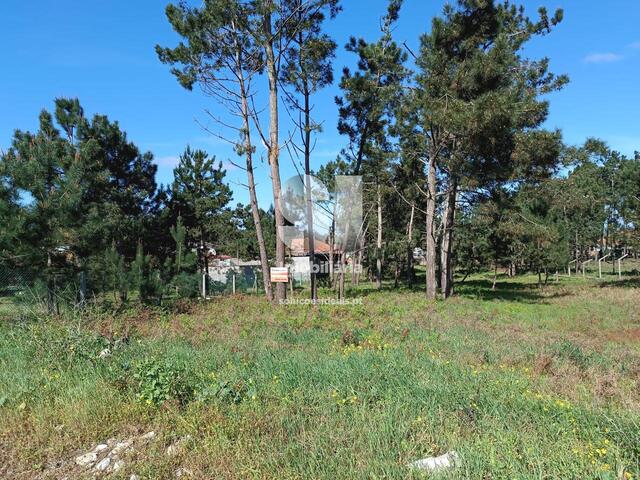 Terreno R�stico - Marinha Grande, Marinha Grande, Leiria - Imagem grande