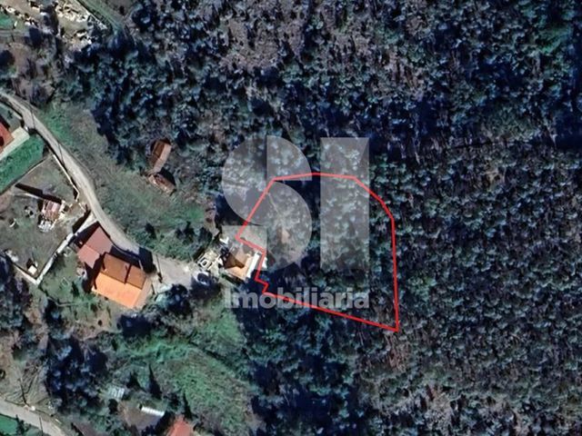 Terreno R�stico T0 - Mansores, Arouca, Aveiro - Imagem grande