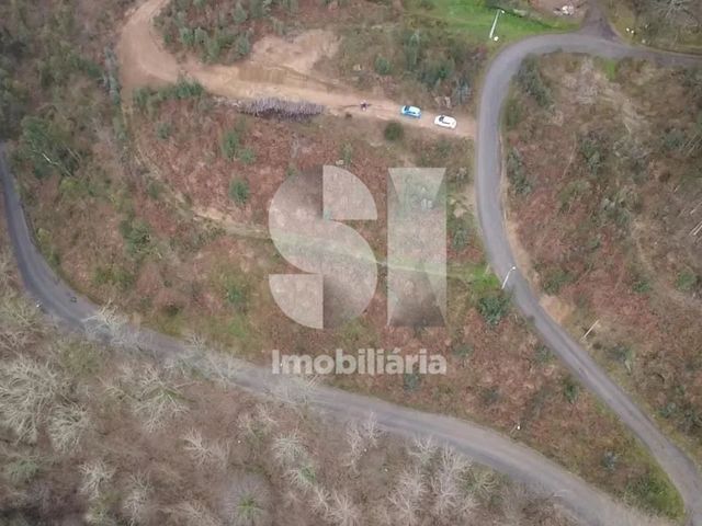 Terreno R�stico T0 - Santa Eul�lia, Arouca, Aveiro - Imagem grande