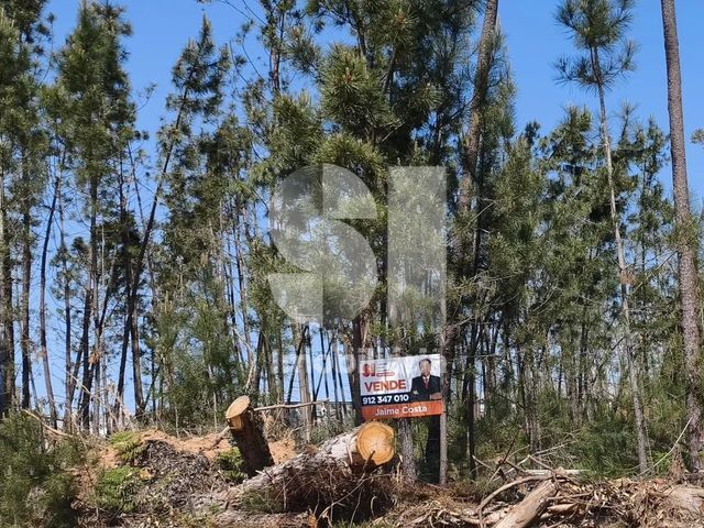 Terreno R�stico T0 - Nossa Senhora da Piedade, Our�m, Santar�m - Imagem grande