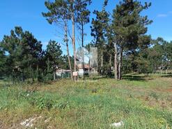 Terreno R�stico - Marinha Grande, Marinha Grande, Leiria