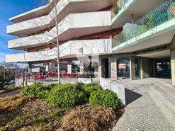 Loja - Viseu, Viseu, Viseu