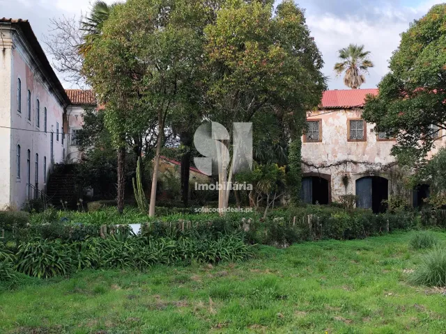 Pr�dio T0 - Arcos, Anadia, Aveiro