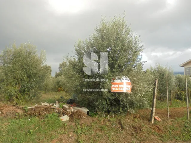 Terreno Urbano T0 - Lous�, Lous�, Coimbra