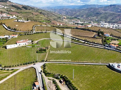 Quinta T3 - Fontelas, Peso da R�gua, Vila Real