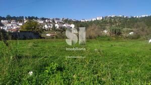 Terreno Rstico - Pelariga, Pombal, Leiria - Miniatura: 5/7