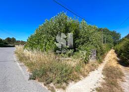 Terreno Rstico - Justes, Vila Real, Vila Real - Miniatura: 9/17