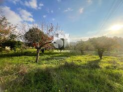 Moradia T4 - Ega, Condeixa-a-Nova, Coimbra - Miniatura: 6/8