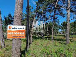 Terreno R�stico - Marinha Grande, Marinha Grande, Leiria - Miniatura: 2/7