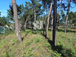 Terreno R�stico - Marinha Grande, Marinha Grande, Leiria - Miniatura: 7/7