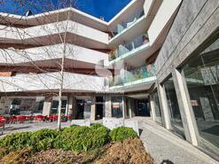 Loja - Viseu, Viseu, Viseu - Miniatura: 4/13