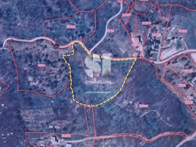 Terreno R�stico T0 - Bobadela, Oliveira do Hospital, Coimbra - Miniatura: 1/3