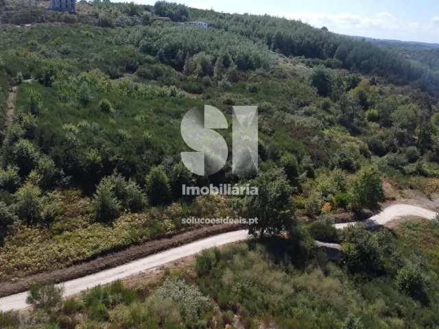 Terreno R�stico T0 - Bobadela, Oliveira do Hospital, Coimbra - Miniatura: 3/3