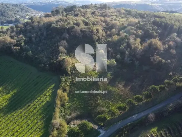 Terreno Urbano T0 - Dois Portos, Torres Vedras, Lisboa - Miniatura: 1/34