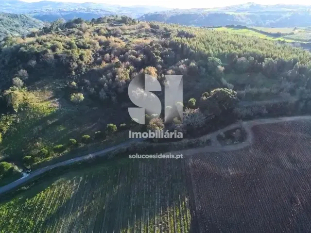 Terreno Urbano T0 - Dois Portos, Torres Vedras, Lisboa - Miniatura: 10/34