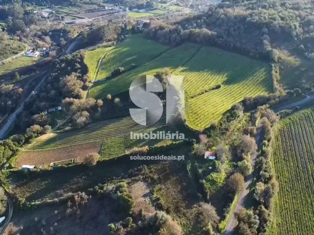 Terreno Urbano T0 - Dois Portos, Torres Vedras, Lisboa - Miniatura: 14/34