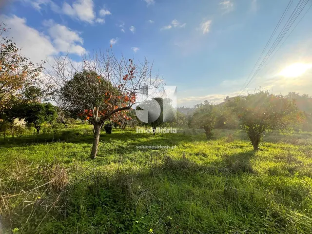 Moradia T4 - Ega, Condeixa-a-Nova, Coimbra - Miniatura: 33/34