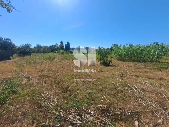 Terreno Urbano T0 - Tamengos, Anadia, Aveiro - Miniatura: 1/11