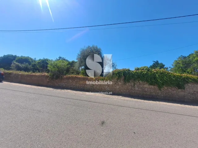 Terreno Urbano T0 - Tamengos, Anadia, Aveiro - Miniatura: 2/11