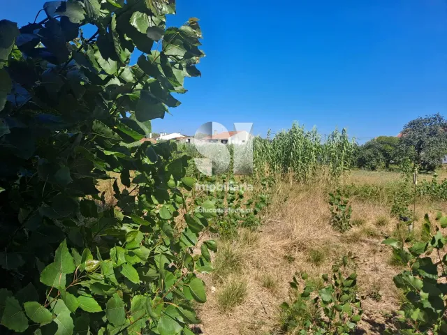 Terreno Urbano T0 - Tamengos, Anadia, Aveiro - Miniatura: 4/11