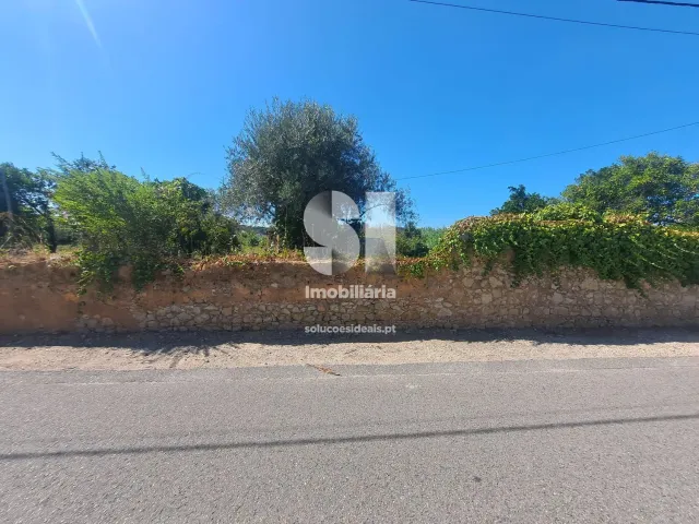 Terreno Urbano T0 - Tamengos, Anadia, Aveiro - Miniatura: 6/11