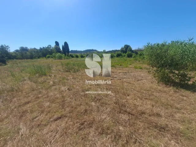 Terreno Urbano T0 - Tamengos, Anadia, Aveiro - Miniatura: 8/11