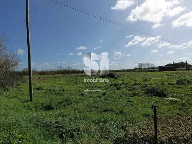 Terreno Urbano T0 - Vieira de Leiria, Marinha Grande, Leiria - Miniatura: 2/5