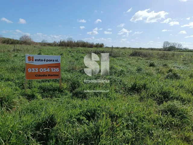 Terreno Urbano T0 - Vieira de Leiria, Marinha Grande, Leiria - Miniatura: 4/5