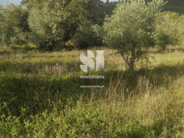 Terreno Urbano T0 - Lous�, Lous�, Coimbra - Miniatura: 2/6